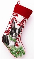 Boston Terrier
